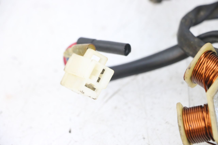 photo de ROTOR STATOR TNT MOTOR ROMA 10' 4T 50 (2007 - 2018) - Points de fixation