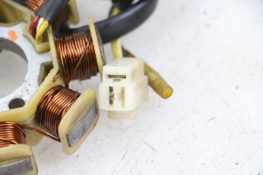 photo de ROTOR STATOR JM MOTORS SUNNY 50 (2017 - 2020) - Autre angle de vue