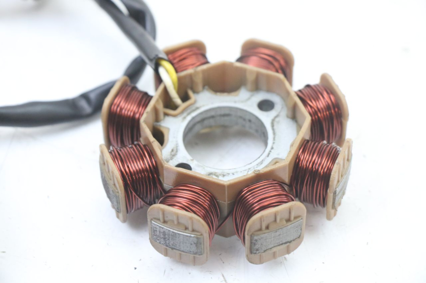 photo de ROTOR STATOR TNT MOTOR ROMA 10' 4T 50 (2019 - 2022) - Vue d’ensemble