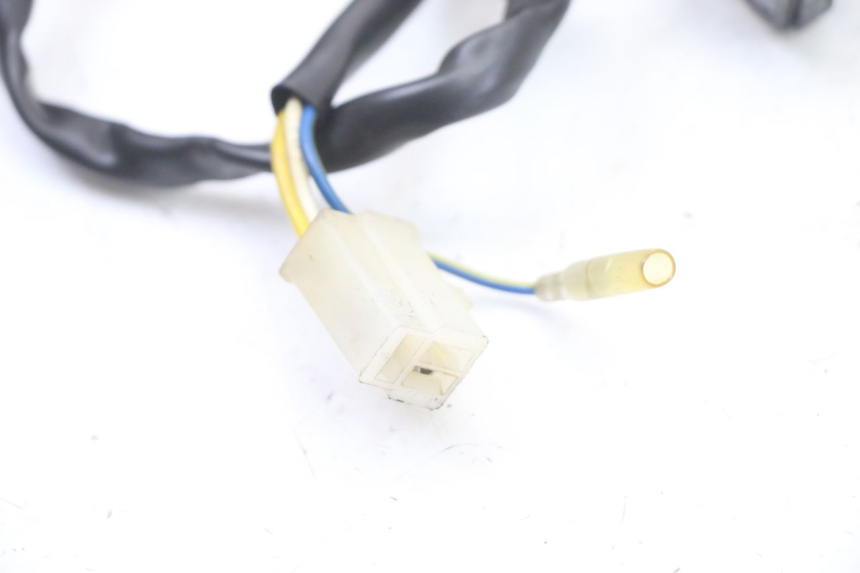 photo de ROTOR STATOR TNT MOTOR ROMA 10' 4T 50 (2019 - 2022) - Pièce contrôlée