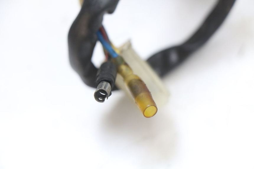 photo de ROTOR STATOR PEUGEOT V-CLIC VCLIC 50 (2007 - 2013) - Vue produit