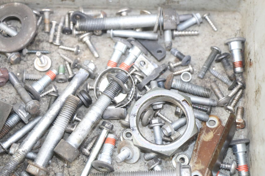 photo de SAC VISSERIE VIS APRILIA ATLANTIC 500 (2002 - 2003) - Autre angle de vue