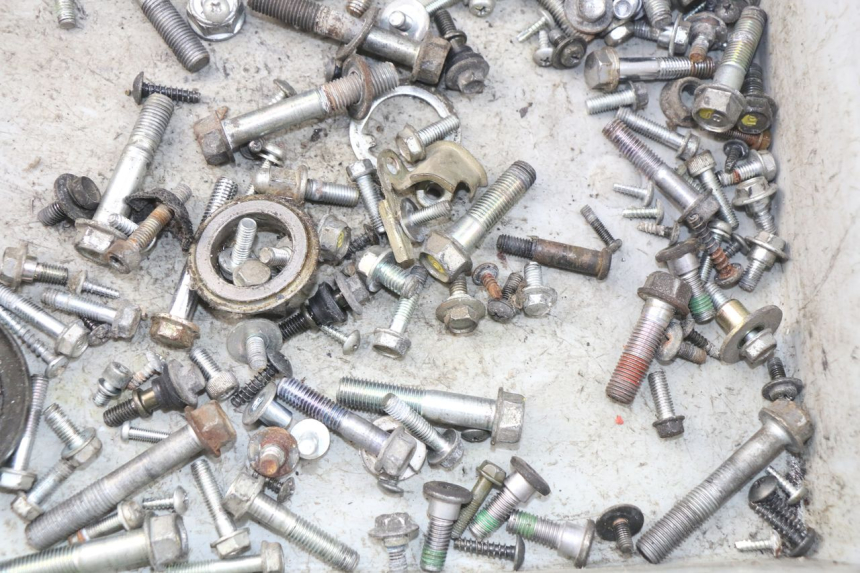 photo de SAC VISSERIE VIS HONDA FES PANTHEON 125 (2003 - 2007) - Zoom état d’usage