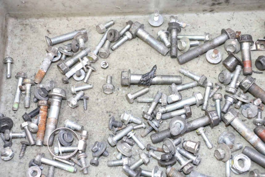 photo de SAC VISSERIE VIS HONDA FES S-WING SWING ABS 125 (2007 - 2015) - Zoom état d’usage