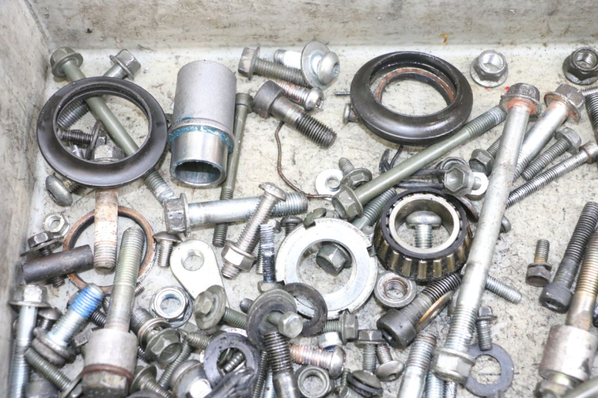 photo de SAC VISSERIE VIS SUZUKI GSF N BANDIT 600 (1996 - 1999) - Zoom état d’usage