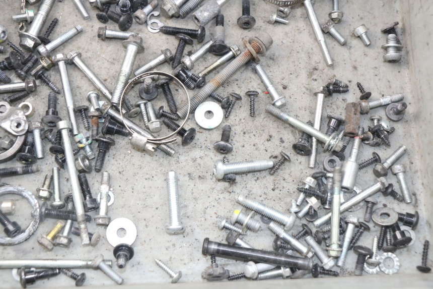 photo de SAC VISSERIE VIS PIAGGIO LIBERTY IGET 4T 50 (2015 - 2020) - Zoom état d’usage