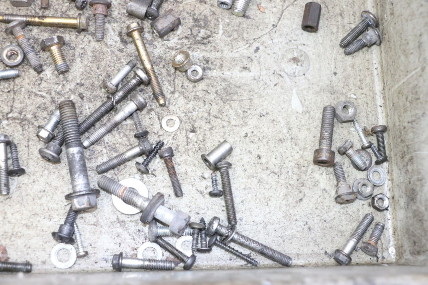 photo de SAC VISSERIE VIS PIAGGIO LIBERTY 125 (1998 - 2008) - Gros plan technique