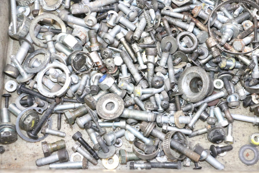 photo de SAC VISSERIE VIS PIAGGIO MP3 LT 300 (2010 - 2016) - Zoom état d’usage