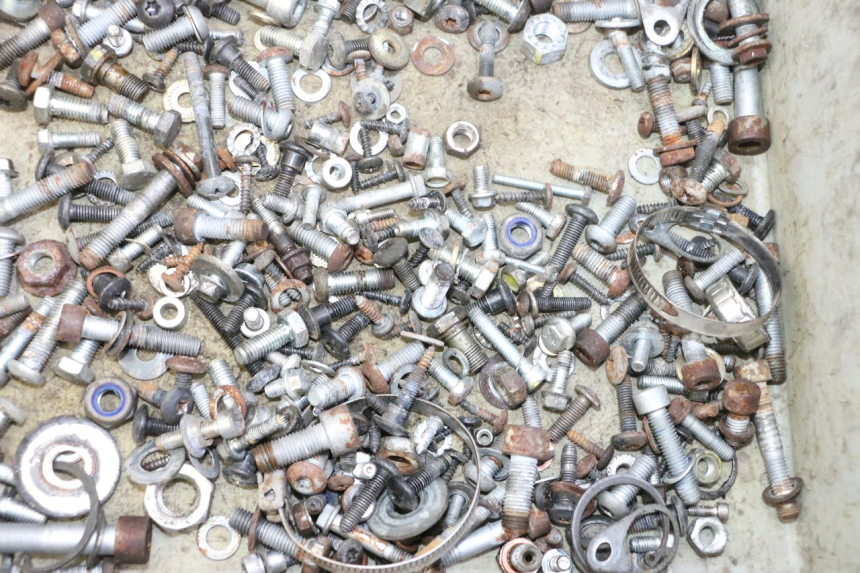 photo de SAC VISSERIE VIS PIAGGIO MP3 RL 250 (2006 - 2010) - Zoom état d’usage