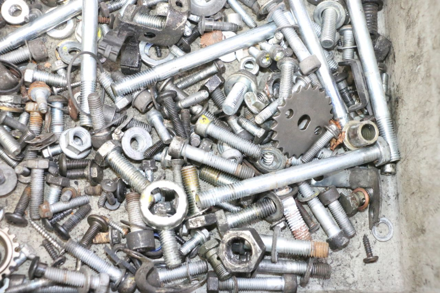 photo de SAC VISSERIE VIS PIAGGIO MP3 RL 250 (2006 - 2010) - Gros plan technique