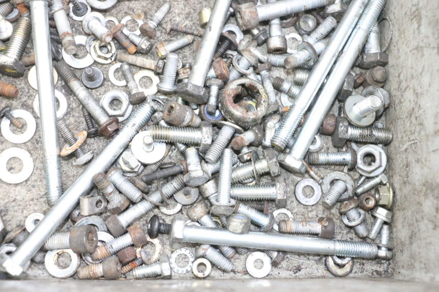 photo de SAC VISSERIE VIS PIAGGIO MP3 RL 250 (2006 - 2010) - Gros plan technique