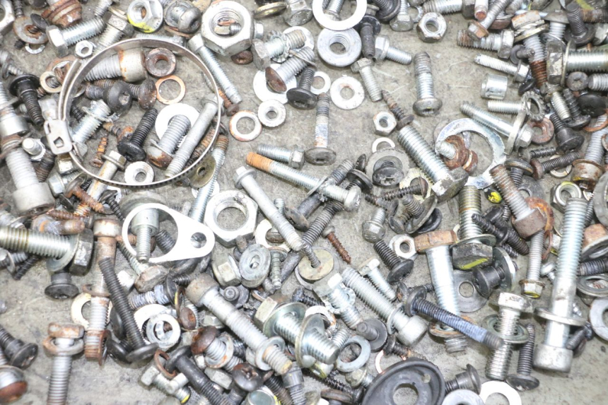 photo de SAC VISSERIE VIS PIAGGIO MP3 RL 250 (2006 - 2010) - Détail de la pièce