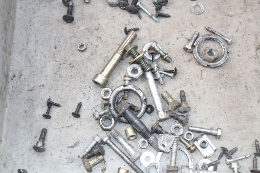 photo de SAC VISSERIE VIS PIAGGIO NEW TYPHOON 50 (2010 - 2017) - Zoom état d’usage