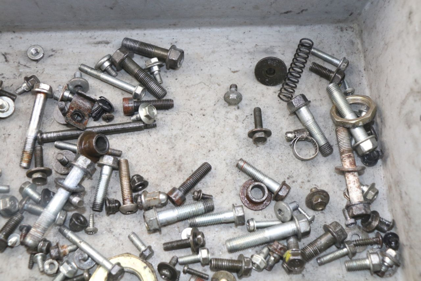 photo de SAC VISSERIE VIS HONDA SES DYLAN 125 (2002 - 2006) - Détail de la pièce