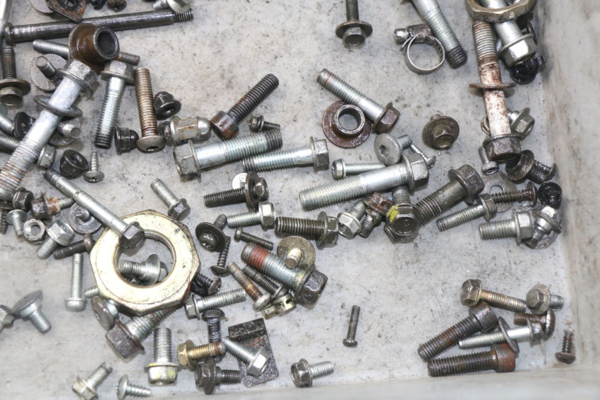 photo de SAC VISSERIE VIS HONDA SES DYLAN 125 (2002 - 2006) - Zoom état d’usage