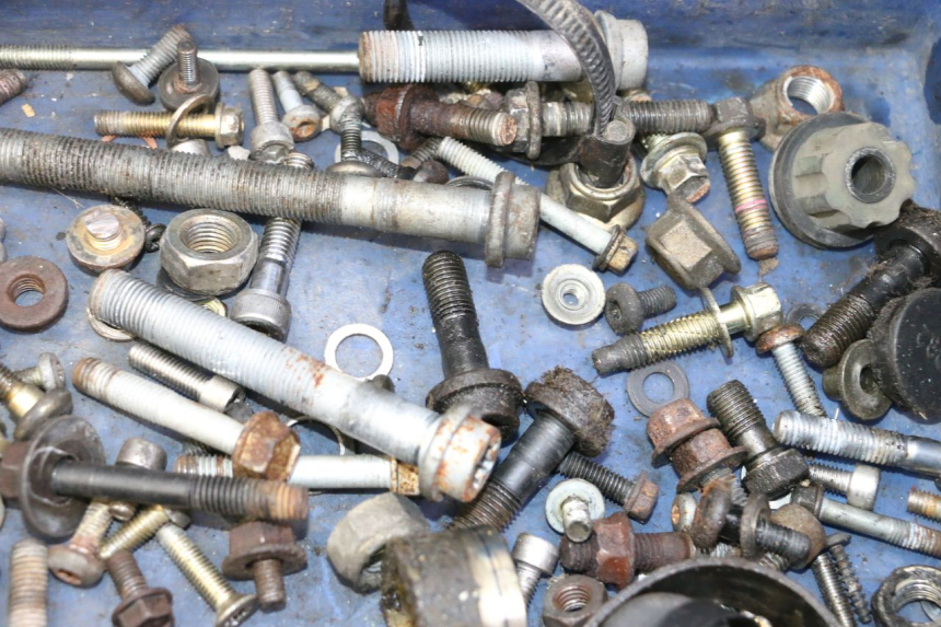 photo de SAC VISSERIE VIS TRIUMPH SPRINT 900 (1995 - 1998) - Gros plan technique