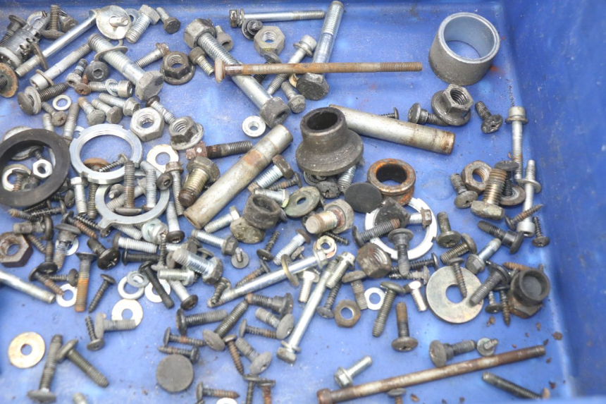 photo de SAC VISSERIE VIS PIAGGIO X9 EVOLUTION 250 (2003 - 2007) - Détail de la pièce