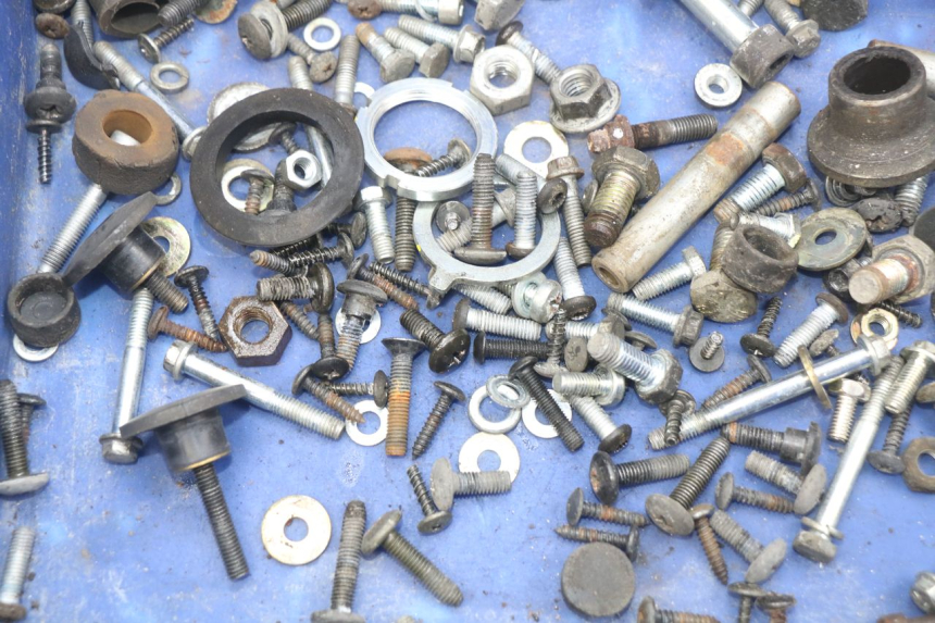 photo de SAC VISSERIE VIS PIAGGIO X9 EVOLUTION 250 (2003 - 2007) - Zoom état d’usage