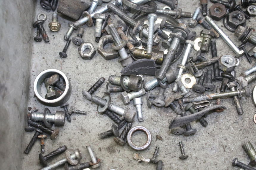 photo de SAC VISSERIE VIS PIAGGIO X9 EVOLUTION 250 (2003 - 2007) - Zoom état d’usage