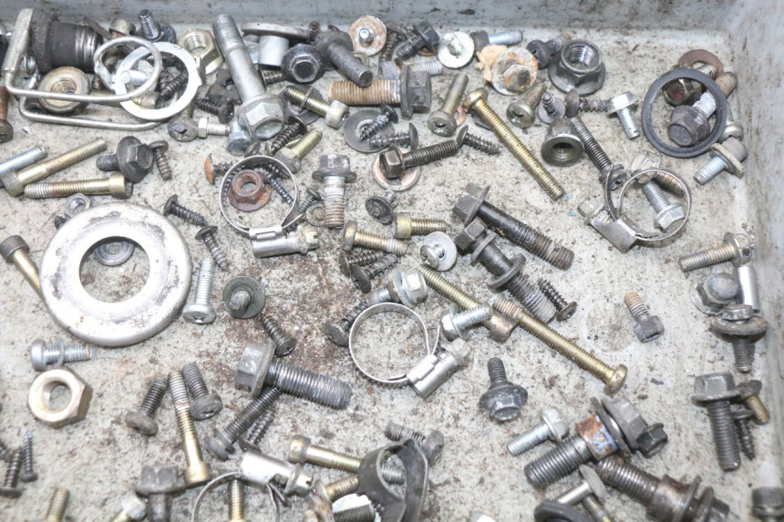 photo de SAC VISSERIE VIS YAMAHA YP MAJESTY 125 (2002 - 2006) - Zoom état d’usage