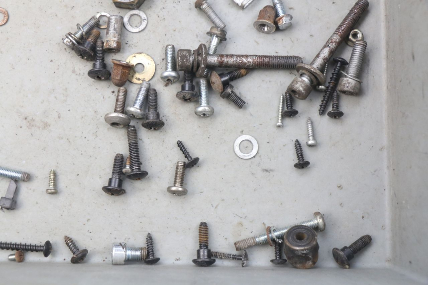 photo de SAC VISSERIE VIS PIAGGIO ZIP 4T 50 (2006 - 2017) - Zoom état d’usage