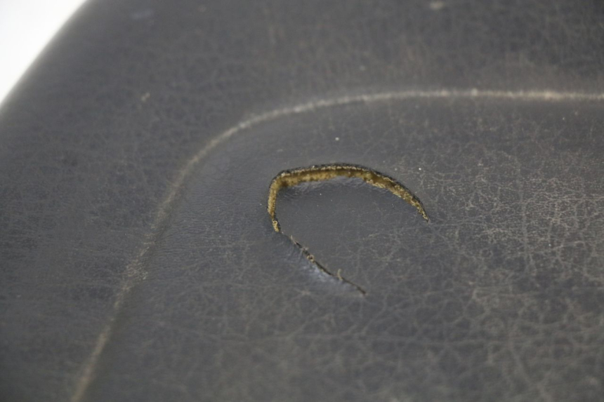 photo de SELLE ARRIERE YAMAHA YP MAJESTY 125 (2002 - 2006) - Points de fixation