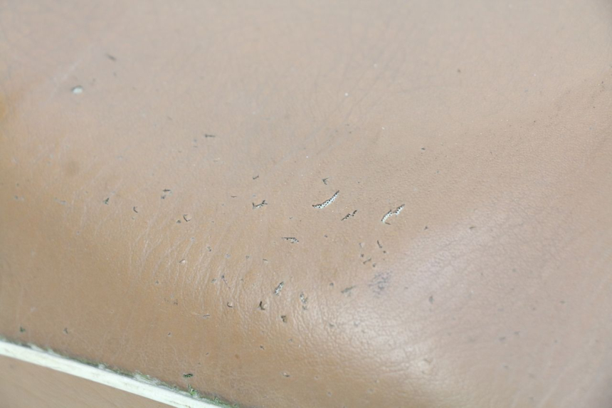 photo de SELLE RIDE CLASSIC 2T 50 (2014 - 2022) - Détails caractéristiques