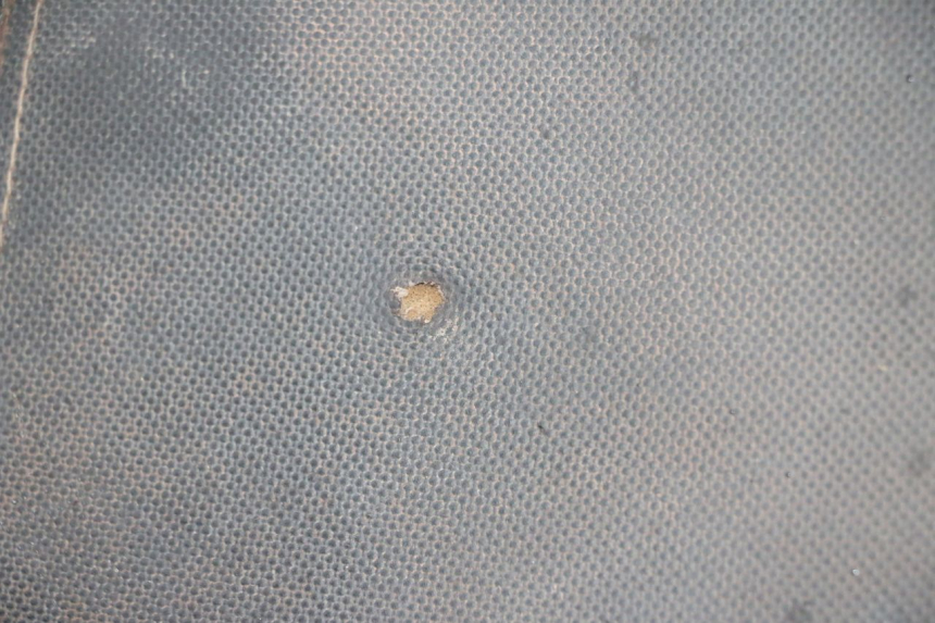 photo de SELLE LONGJIA DIGITA 4T 50 (2019 - 2022) - Vue rapprochée