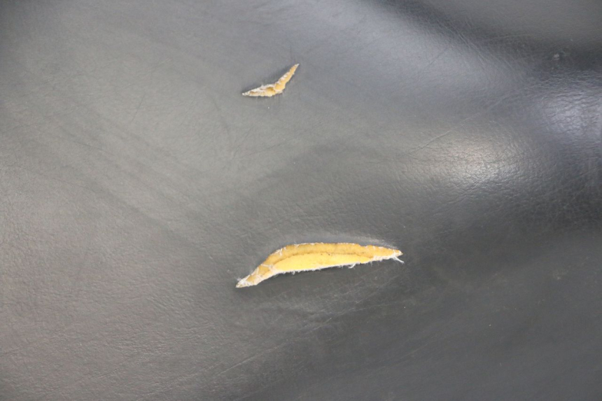 photo de SELLE PEUGEOT ELYSTAR 50 (2002 - 2014) - Inspection visuelle