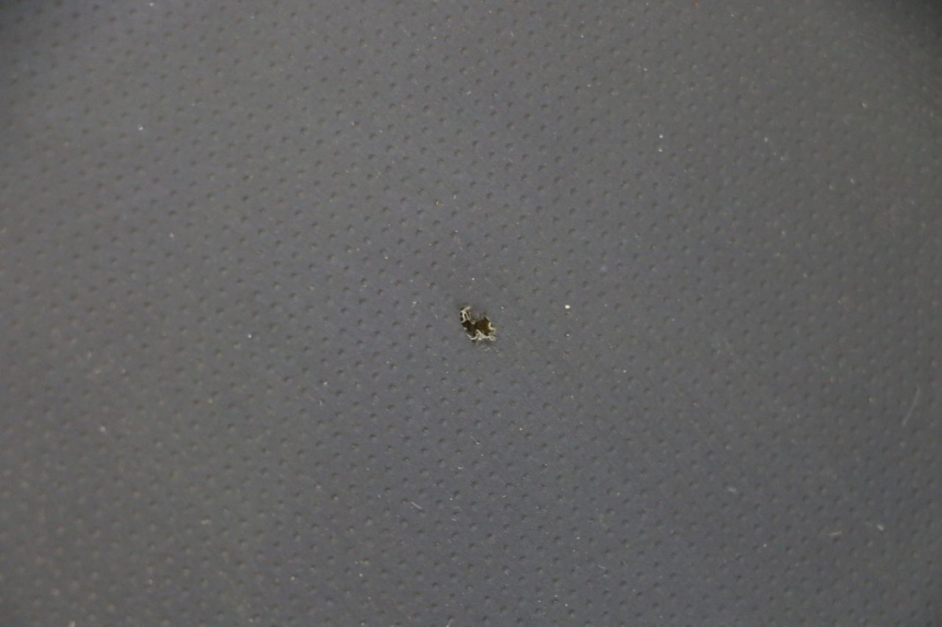 photo de SELLE STAHO FH 50 (2018 - 2019) - Vue d’ensemble