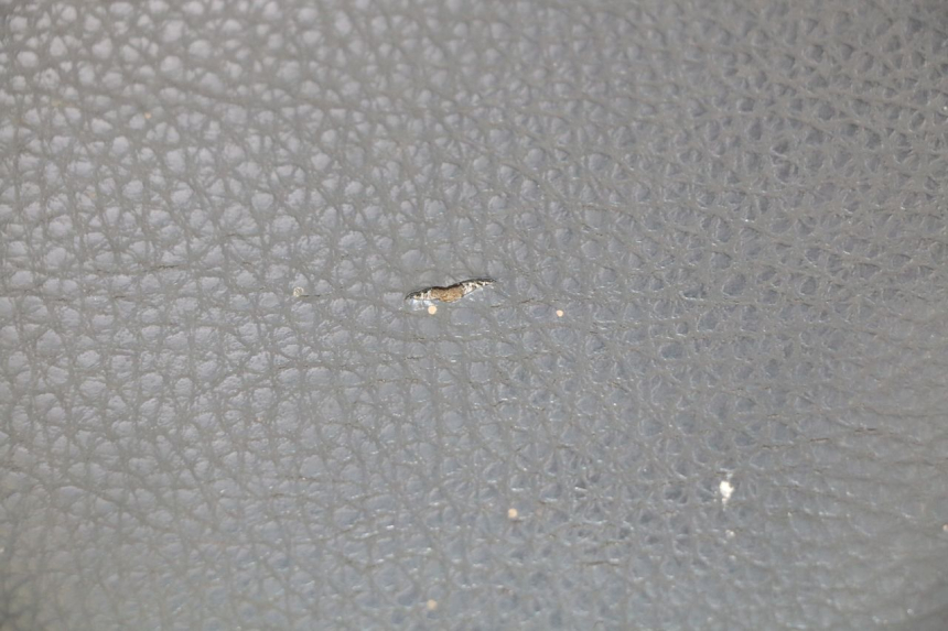 photo de SELLE PEUGEOT KISBEE 2T 50 (2010 - 2017) - Vue d’ensemble