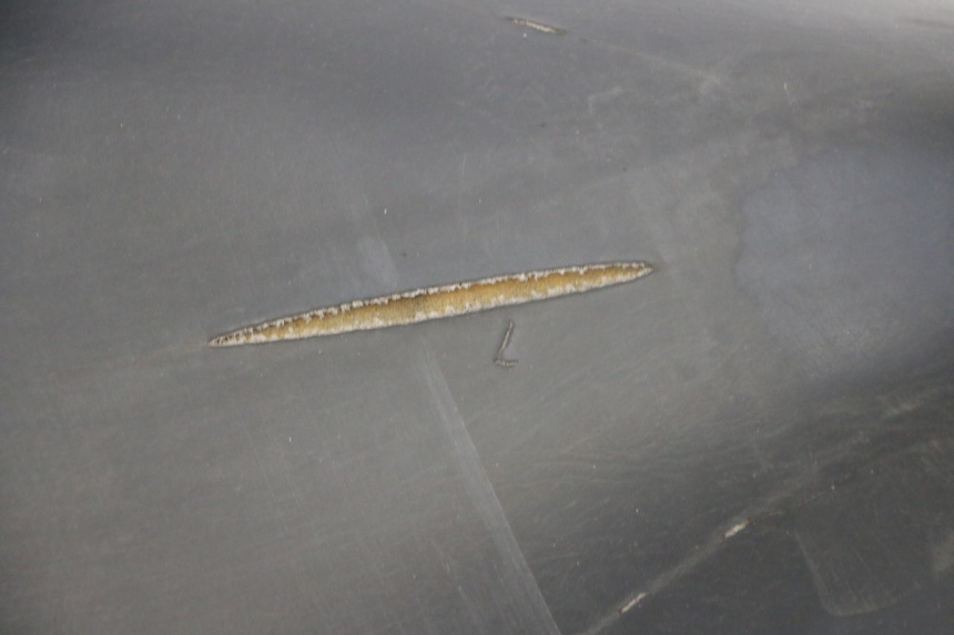 photo de SELLE PIAGGIO LIBERTY 125 (1998 - 2008) - Zoom état d’usage