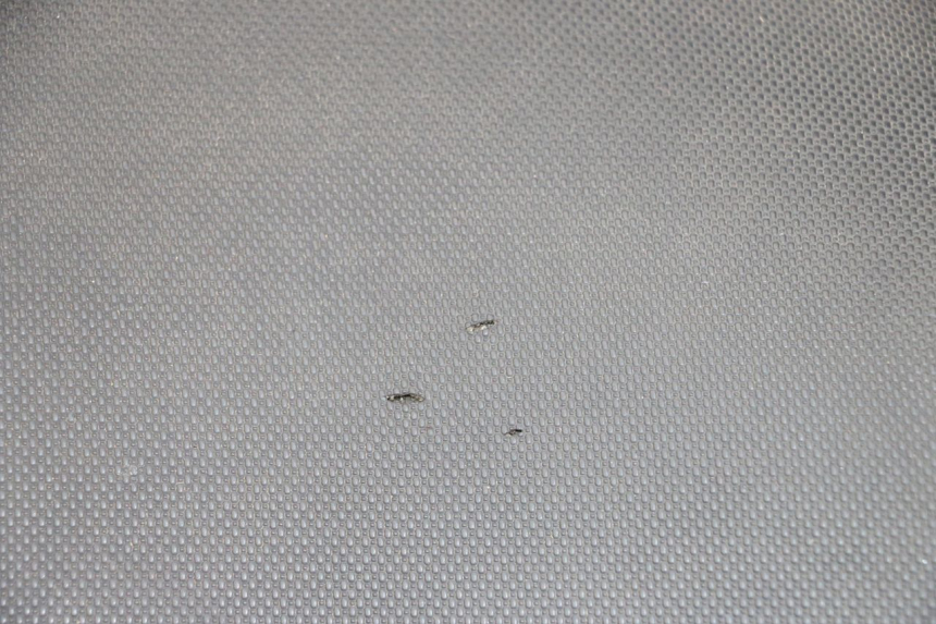 photo de SELLE MBK MACH G AC 50 (2002 - 2014) - Zoom composants