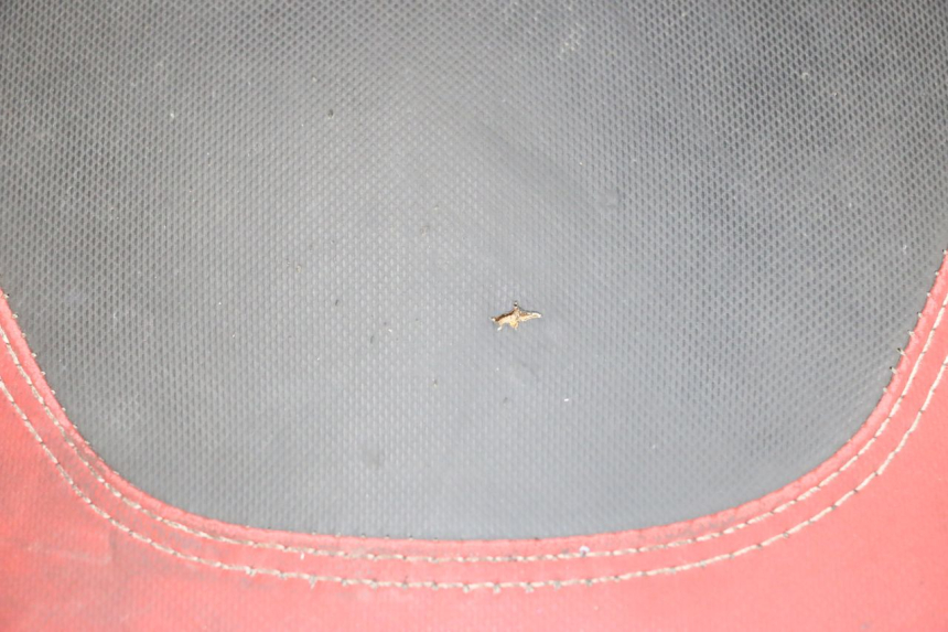 photo de SELLE PIAGGIO NEW TYPHOON 50 (2018 - 2021) - État de surface