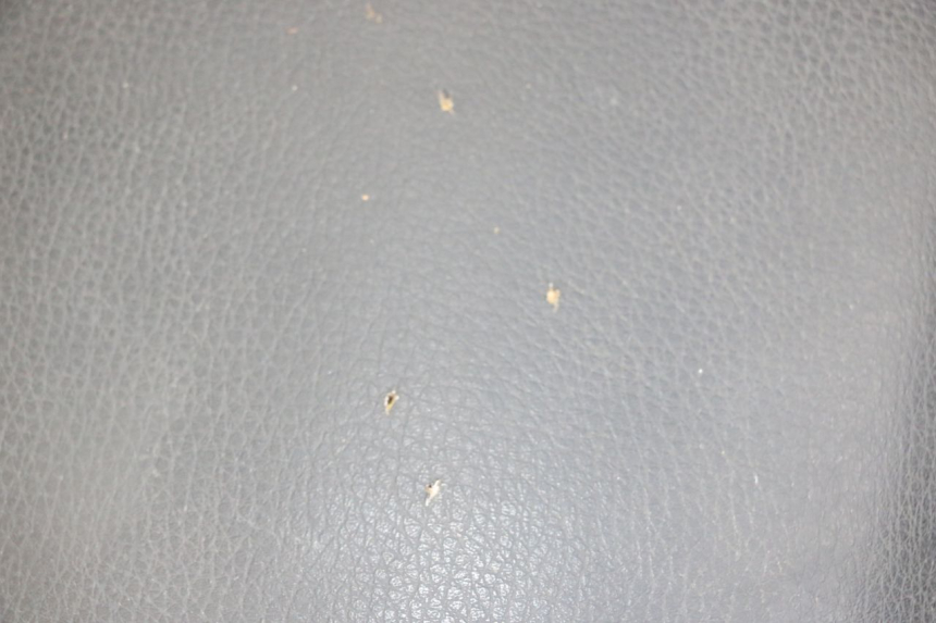 photo de SELLE SYM ORBIT 2 4T 50 (2008 - 2017) - Autre angle de vue