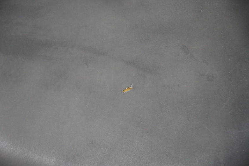 photo de SELLE PEUGEOT LUDIX 50 (2008 - 2017) - Points de fixation