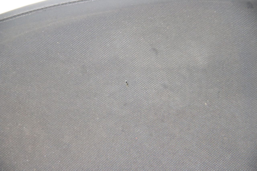 photo de SELLE TNT MOTOR ROMA 10' 4T 50 (2007 - 2018) - Vue produit