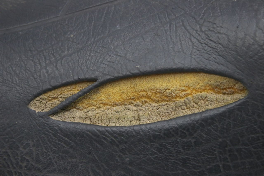 photo de SELLE APRILIA SCARABEO 100 (2003 - 2012) - Vue produit