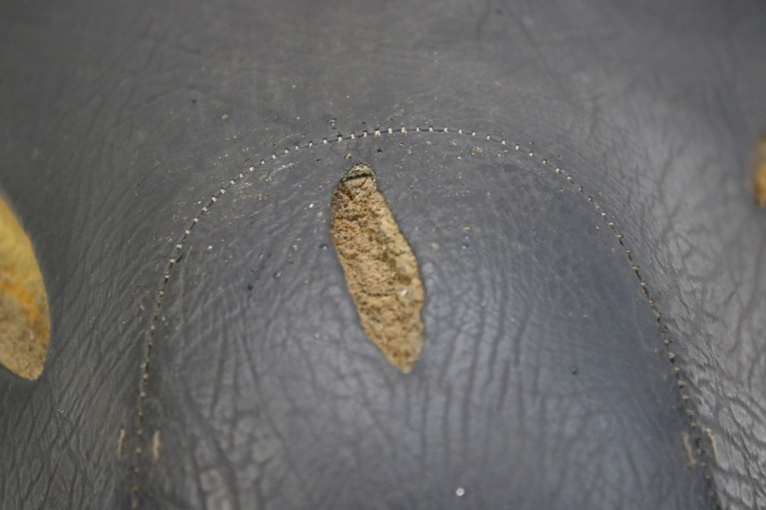 photo de SELLE APRILIA SCARABEO 100 (2003 - 2012) - Détails caractéristiques