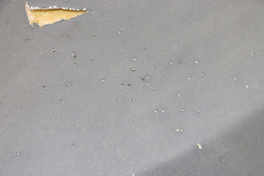 photo de SELLE TNT MOTOR BOSTON 4T 50 (2018 - 2025) - Zoom état d’usage