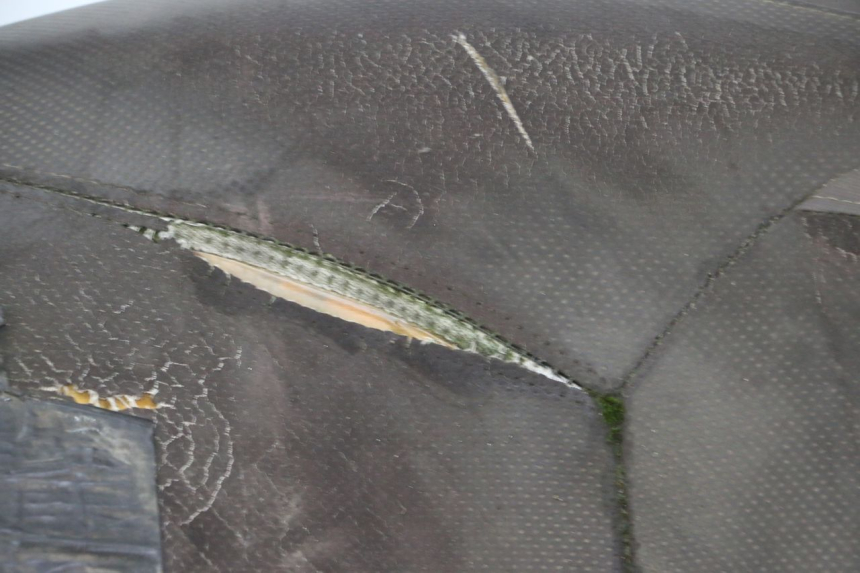 photo de SELLE YAMAHA X-MAX XMAX 250 (2006 - 2009) - Vue d’ensemble