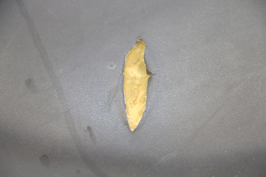 photo de SELLE YAMAHA NEOS NEO'S 4T 50 (2008 - 2016) - Détails caractéristiques