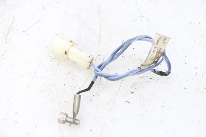 photo de SONDE TNT MOTOR BOSTON 4T 50 (2018 - 2025) - Vue principale