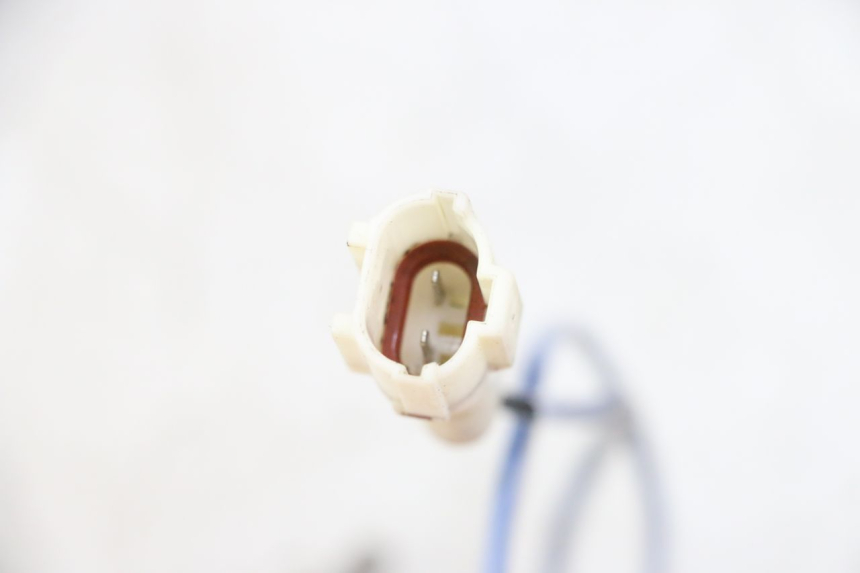 photo de SONDE TNT MOTOR BOSTON 4T 50 (2018 - 2025) - Détail de la pièce