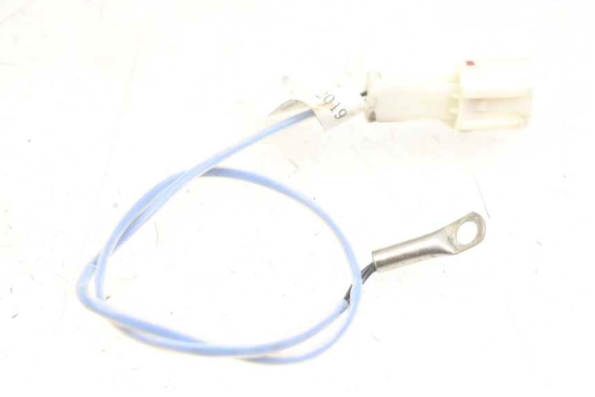 photo de SONDE ORCAL CAVARO 4T 50 (2019 - 2023) - Vue principale