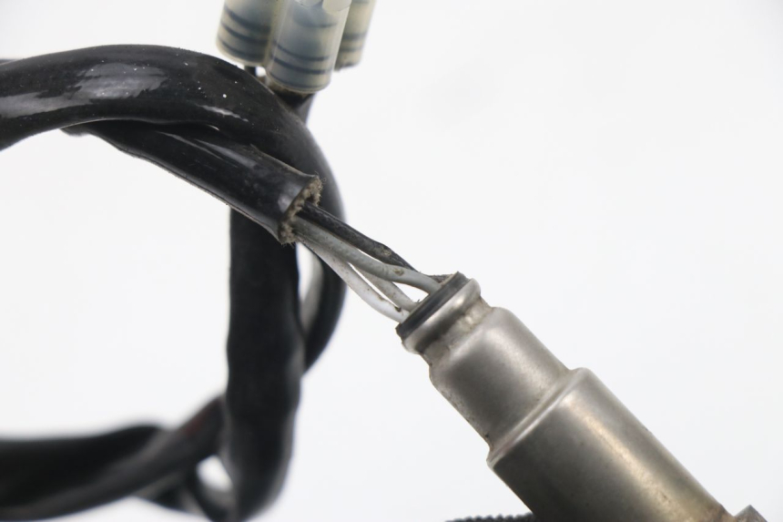 photo de SONDE LAMBDA JM MOTORS SUNNY 50 (2017 - 2020) - Zoom état d’usage