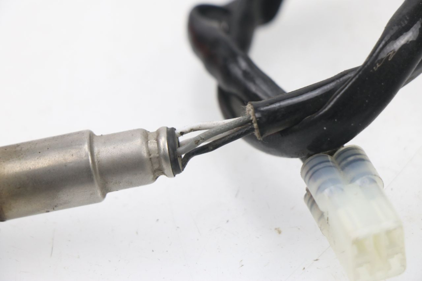 photo de SONDE LAMBDA JM MOTORS SUNNY 50 (2017 - 2020) - Autre angle de vue