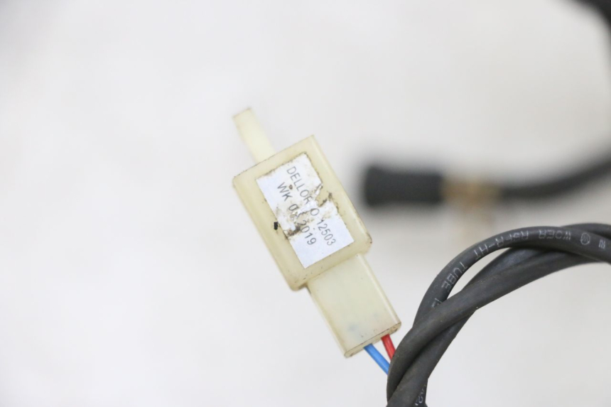 photo de SONDE PRESSION AIR TNT MOTOR ROMA 10' 4T 50 (2019 - 2022) - Autre angle de vue