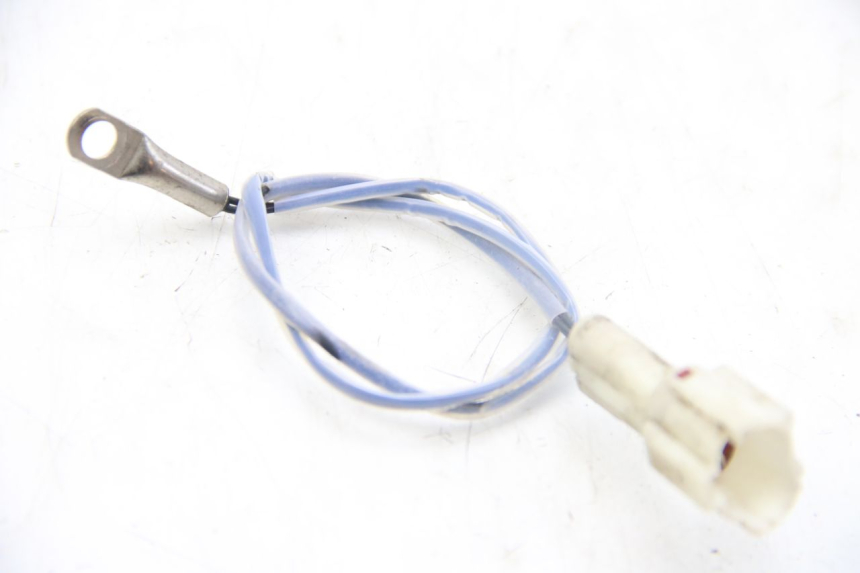 photo de SONDE TNT MOTOR ROMA 10' 4T 50 (2019 - 2022) - Vue principale