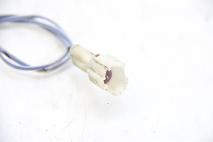 photo de SONDE TNT MOTOR ROMA 10' 4T 50 (2019 - 2022) - Détail de la pièce